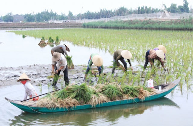 Thu nhập ổn định nhờ cách nuôi thủy sản hiệu quả
