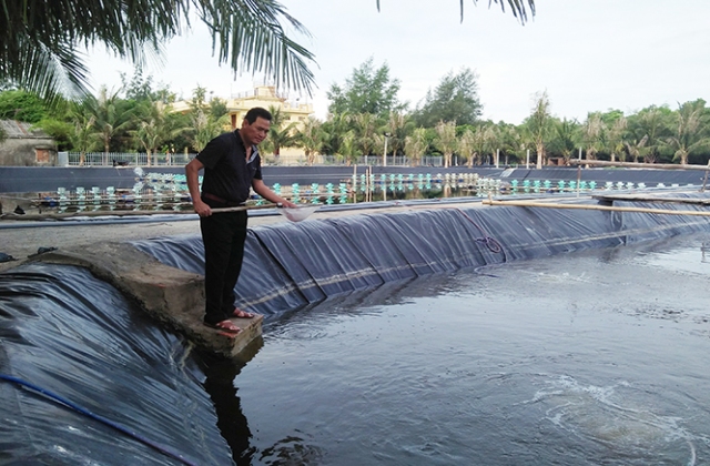 Doanh nghiệp chuẩn VietGAP ở Quảng Bình