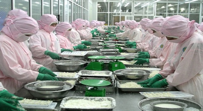 Doanh nghiệp thủy sản lo ngại nạn bơm chất agar vào tôm xuất khẩu