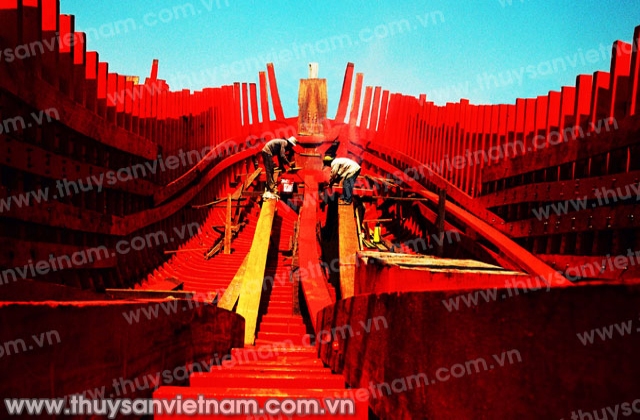 Cà Mau: Hơn 90 tàu cá được vay vốn theo Nghị định 67