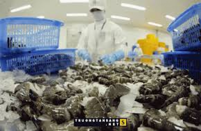 Thái Lan ước đạt 450.000 tấn tôm năm 2018