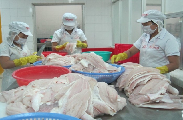 Siết sử dụng kháng sinh trong chăn nuôi