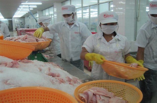 Xuất khẩu cá tra sang EU tiếp tục khó khăn