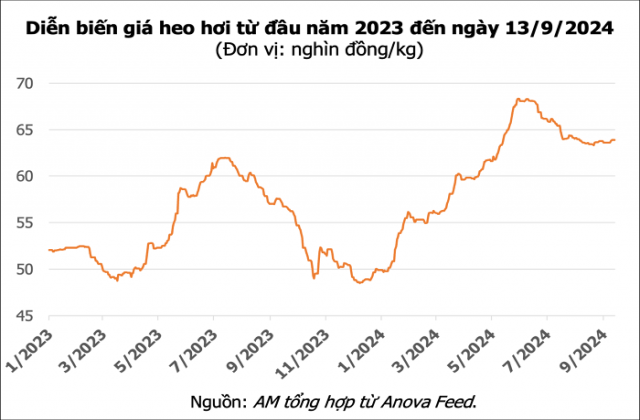 Giá heo hơi ngày 13/9 - Thị trường đồng loạt chững giá