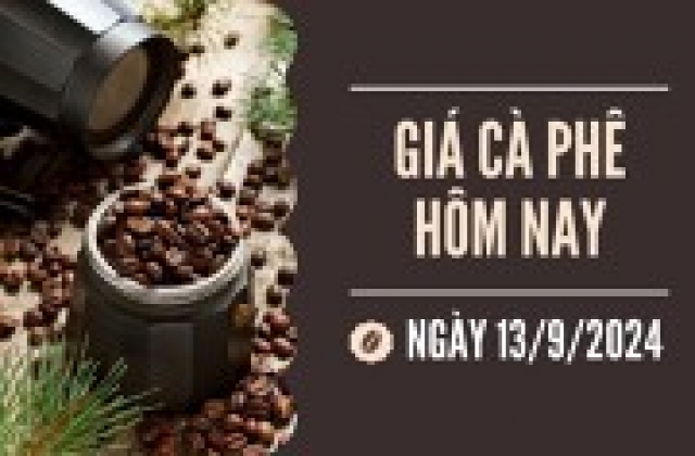 Giá robusta thế giới lập đỉnh mới, trong nước tăng thêm 1.200 đồng/kg