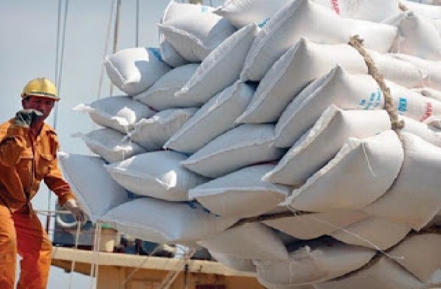 Sẽ xem lại việc khống chế số doanh nghiệp xuất khẩu gạo
