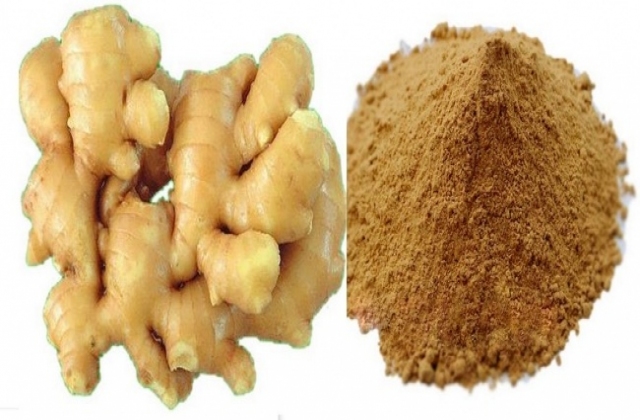 Gừng giúp tăng cường khả năng miễn dịch của cá chép giống