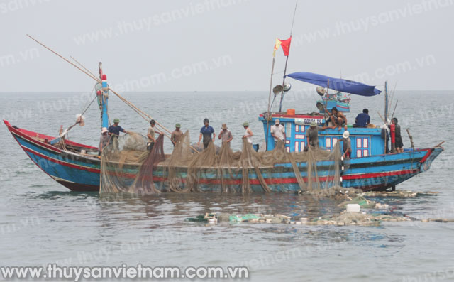 Hội Nghề cá Khánh Hòa: Tổng kết đánh bắt hải sản bằng nghề đăng