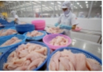 Tìm cơ hội mới cho cá tra