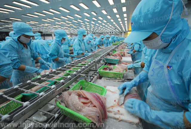 170 doanh nghiệp cá tra đăng ký xuất khẩu