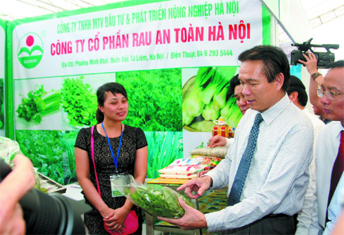 HADICO phấn đấu vì thương hiệu nông sản xanh, sạch