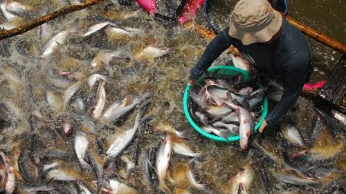 Đề xuất ưu đãi hơn cho nông nghiệp, nông thôn