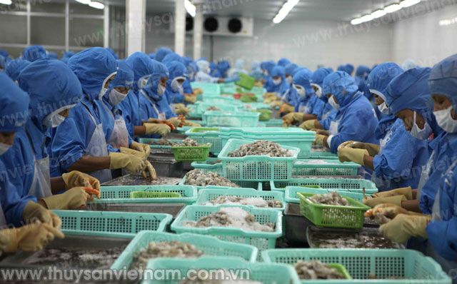 Năm 2020, phấn đấu giá trị xuất khẩu thủy sản đạt 11 tỷ USD
