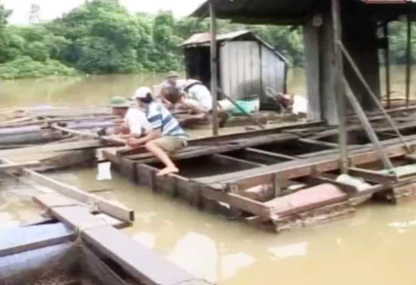 Đồng Nai: 71 hộ nuôi cá bè đã di dời đúng vị trí