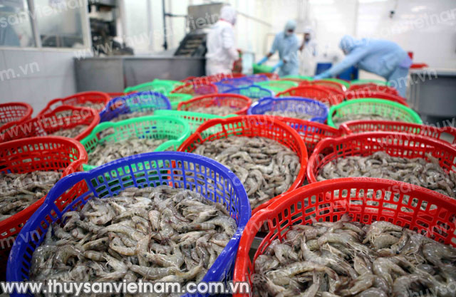 Phí nhiều, tôm lại oằn lưng