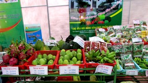 DN cung ứng nông sản hội tụ tại Hi-tech Agro 2014