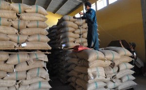 Xuất khẩu cà phê sẽ đạt 3 tỷ USD trong tháng 10