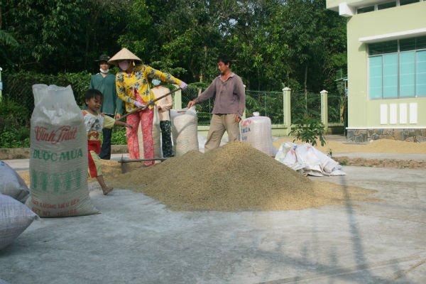 Việt Nam sẽ bán 200.000 tấn gạo cho Indonesia