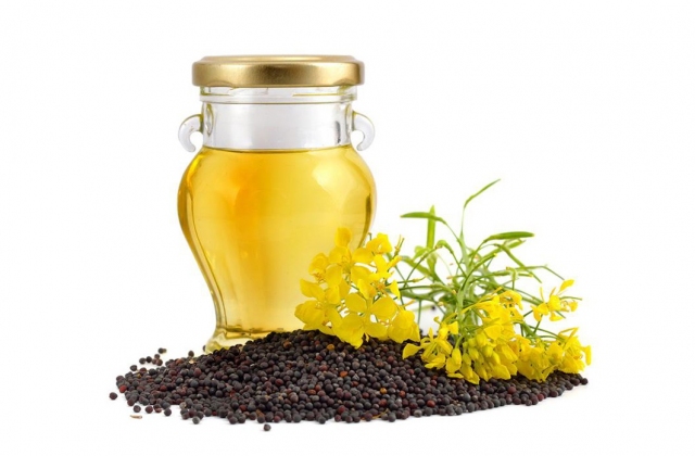 Hạt cải dầu lên men giúp cá cải thiện hiệu suất tăng trưởng