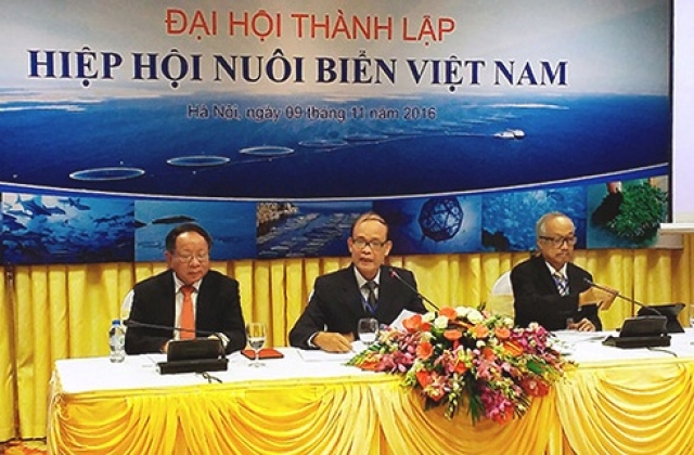 Doanh nghiệp và ngư dân nuôi biển có Hiệp hội riêng