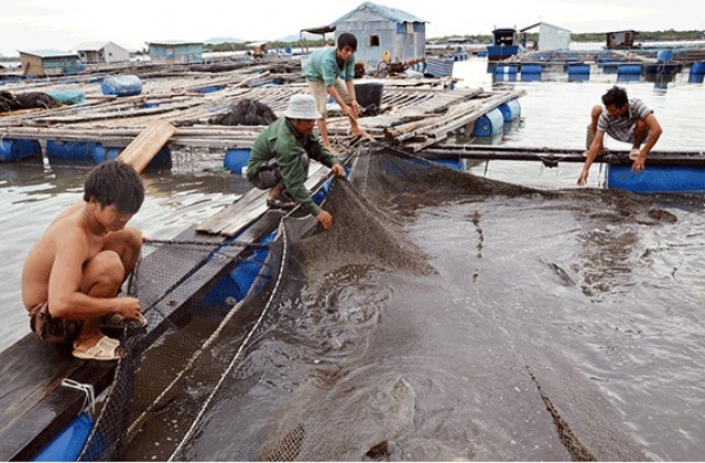 Tập huấn kiến thức về pháp luật và nuôi trồng thủy sản