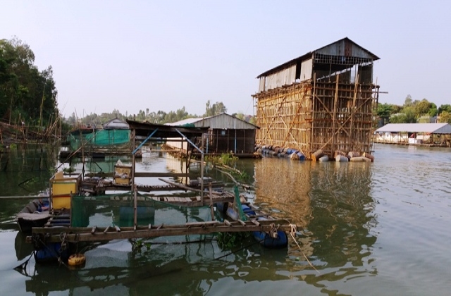 Hỗ trợ giống thủy sản, khôi phục sản xuất