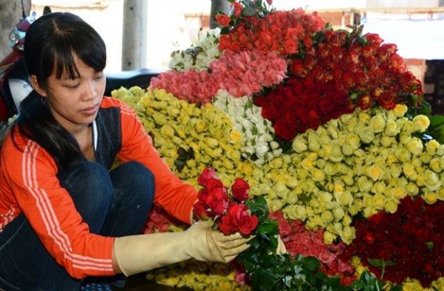 Hoa Đà lạt tăng giá gấp đôi