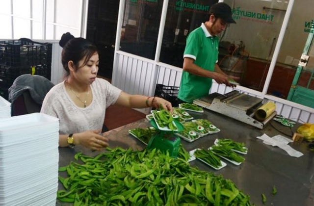 Gắn logo cho nông sản tránh nhầm lẫn hàng Trung Quốc