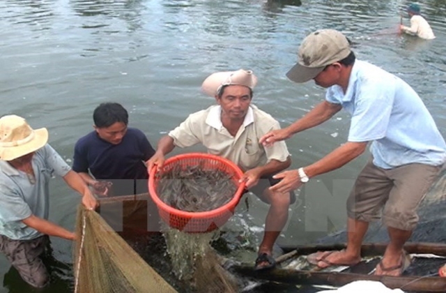Bạc Liêu hướng tới phát triển mạnh về kinh tế biển