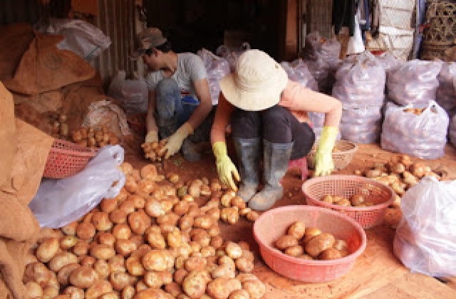 Ta hại....ta