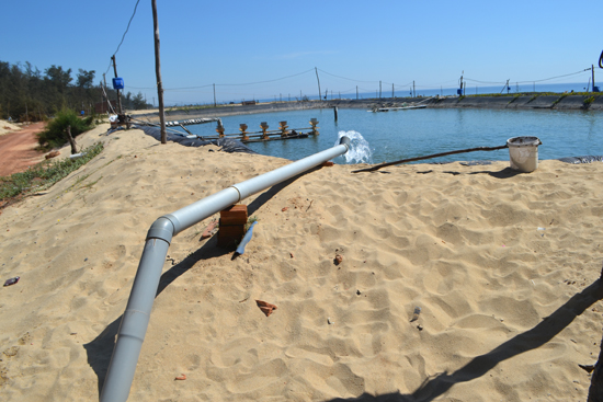 Quảng Ngãi: Bất cập hạ tầng thủy lợi phục vụ nuôi trồng thủy sản