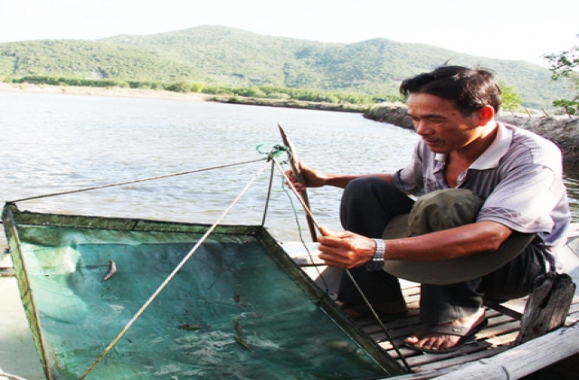 Ninh Hòa (Khánh Hòa): Thủy sản nuôi trồng mất mùa