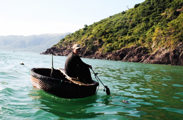 Khánh Hòa: Mất mùa tôm hùm giống