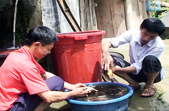 Hà Giang: Hiệu quả từ mô hình 