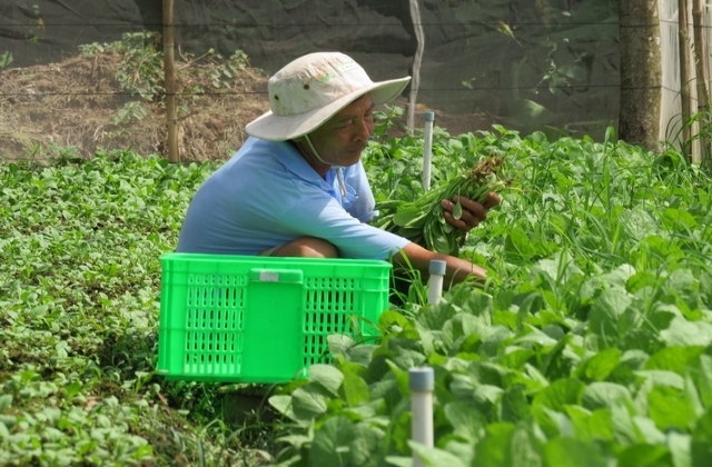 Nông dân cần được tiếp sức