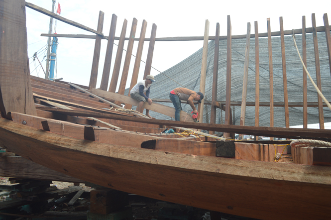 Bố Trạch (Quảng Bình): Sản lượng đánh bắt và nuôi trồng thủy sản tăng 8,1% so với cùng kỳ