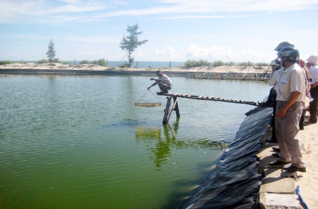 Nghề nuôi tôm trên cát ở Hải Ninh (Quảng Bình): Người dân bỏ hoang ao hồ vì thua lỗ