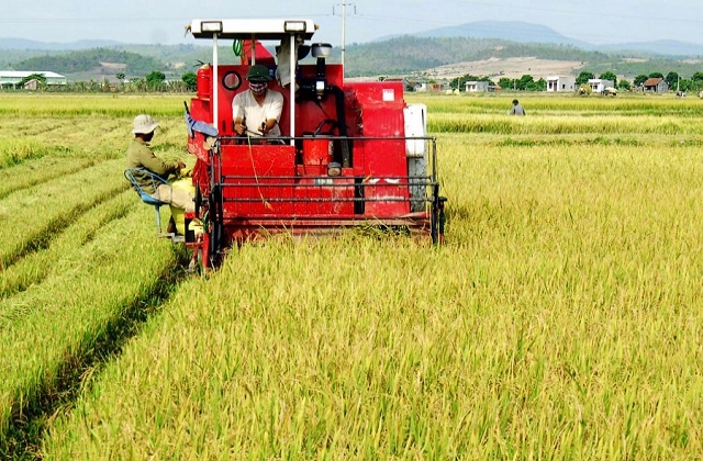 Đẩy mạnh phát triển các mô hình liên kết trong nông nghiệp