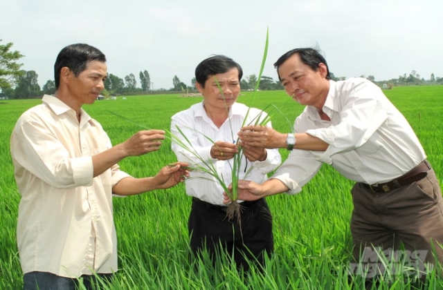 Năm 2024, Đồng Tháp đào tạo nghề nông nghiệp cho hơn 2.000 lao động