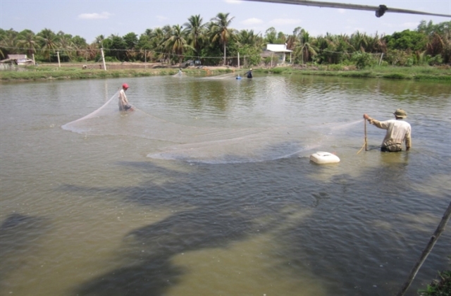 Sóc Trăng: Hiệu quả các chính sách đối với đồng bào nghèo