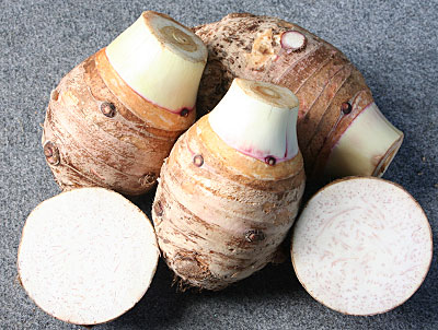 Kỹ thuật trồng khoai môn, khoai sọ
