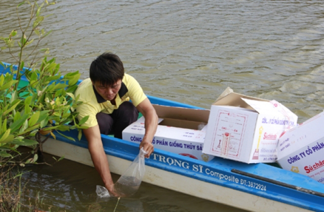 Khung lịch thời vụ thả tôm giống nước lợ năm 2016