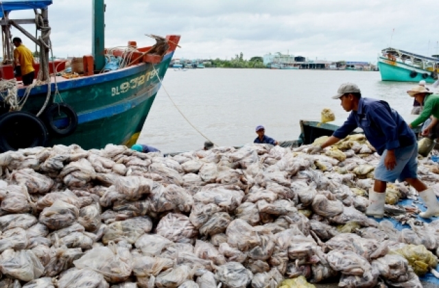 Niềm vui chuyến biển cuối năm