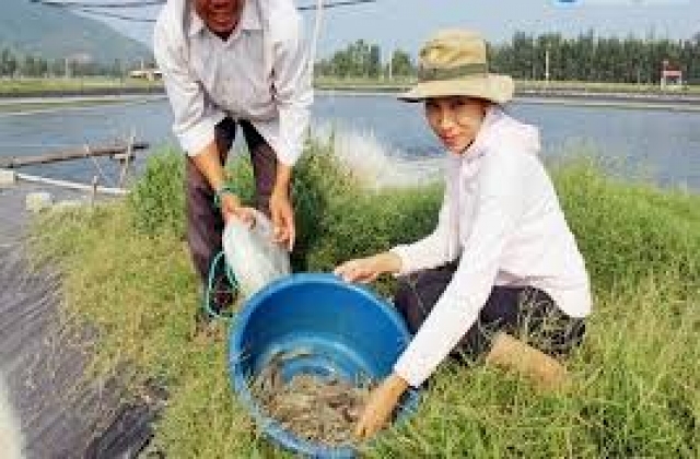 Sống lại miền đất 