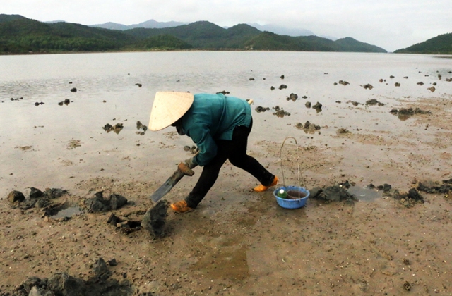 Bảo tồn