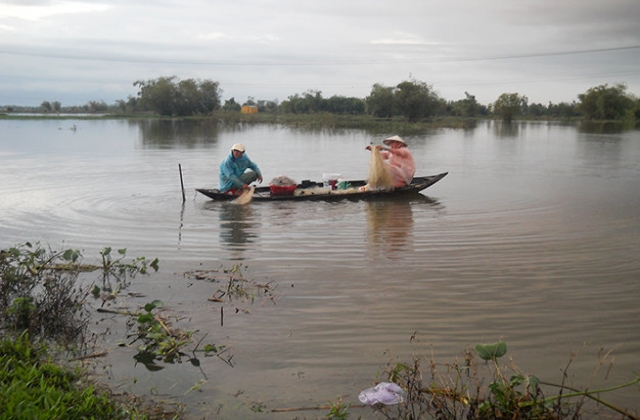 ​Thương hoài cá leo mùa nước lên