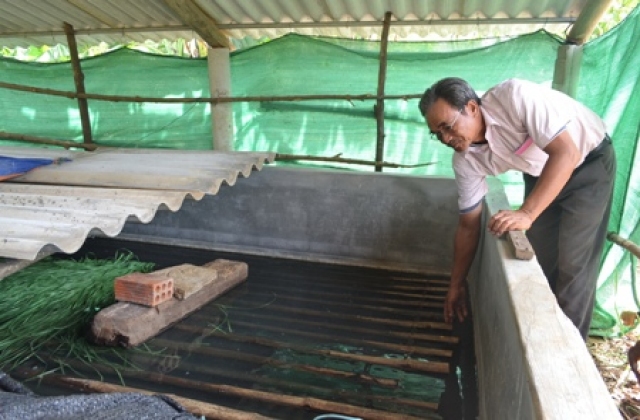 Hải Phòng: Hội nghị tổng kết mô hình nuôi lươn đồng trong bể xi măng không bùn