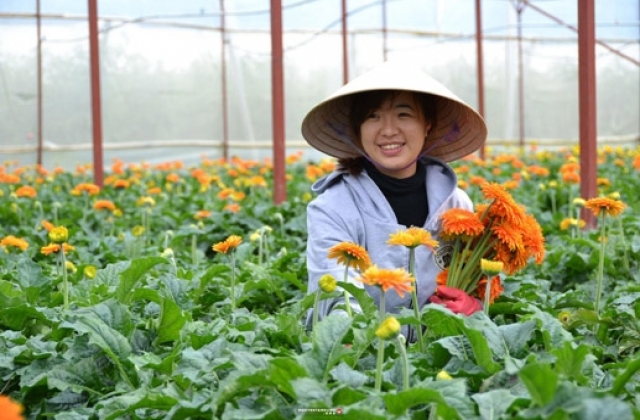 Nông nghiệp cứ manh mún, nhỏ lẻ… là thua