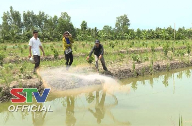 Hồ Đắc Kiện làm mô hình cá – lúa - thủy cầm thay thế lúa vụ 3