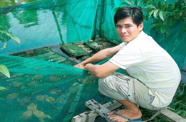 Tự tạo cơ hội: Nuôi ếch lồng